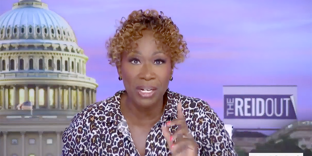 Joy Reid screeches DeSantis’ ‘private police force’ will ‘intimidate’ Black people ‘out of being able to vote’