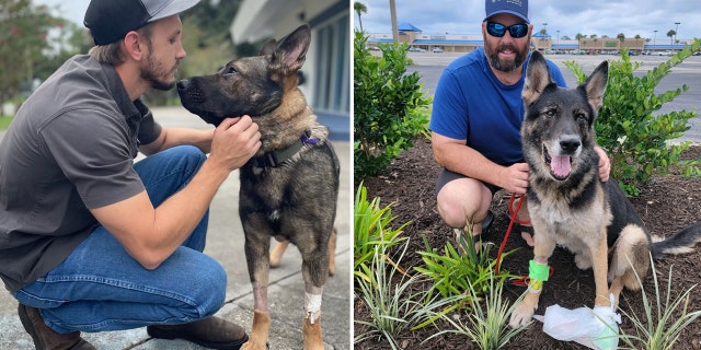 Deputy A.J. Davis and K-9 Ax, left, and Deputy Brett Whitson and K-9 Endo, right, were reunited following the shooting on Saturday.