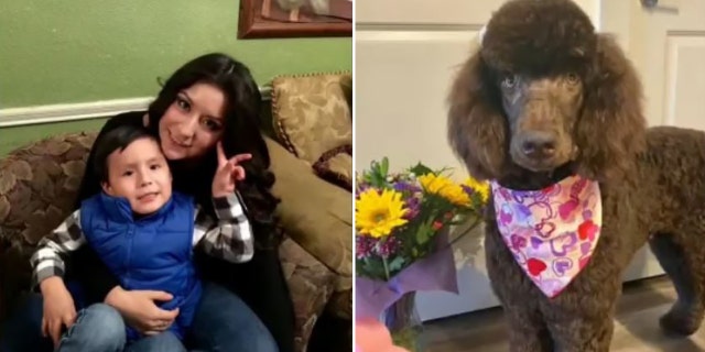 Rico died at the scene while her son was rushed to a hospital, where he remains in critical condition. Rico’s poodle, Apollo, also died in the crash.