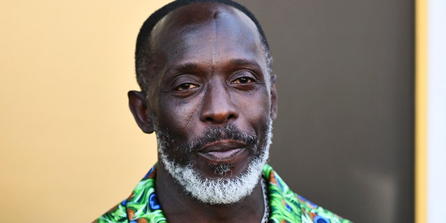Michael K. Williams died of an accidental overdose in early September 2021.