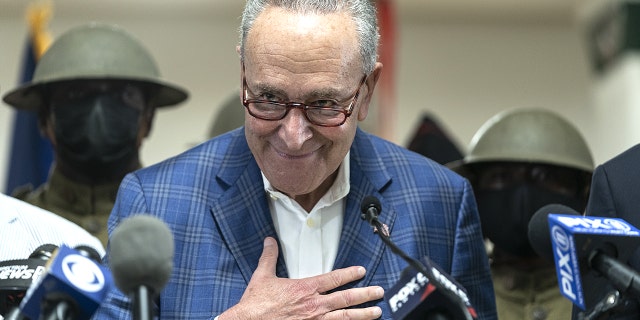 Senator Schumer speaks during the presentation.