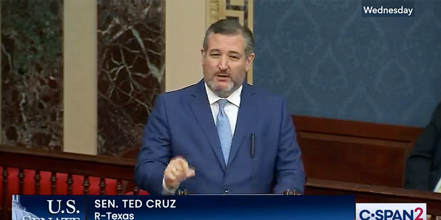Sen. Ted Cruz, R-Texas, clashed with Democrat Connecticut Senator Chris Murphy over his school safety bill.