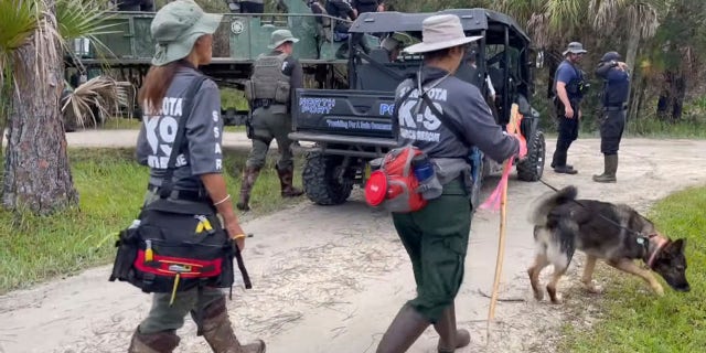 Search teams are deployed at the Carlton Reserve near North Port, Fla., on Wednesday.