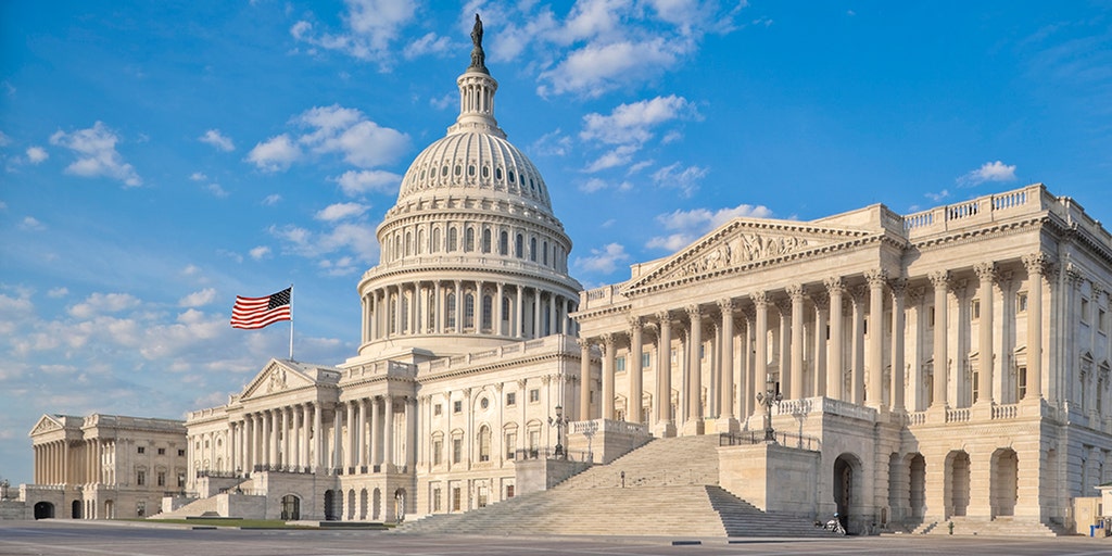 America and the Terrible, Horrible, No Good, Very Bad Congress - Vimarsana News