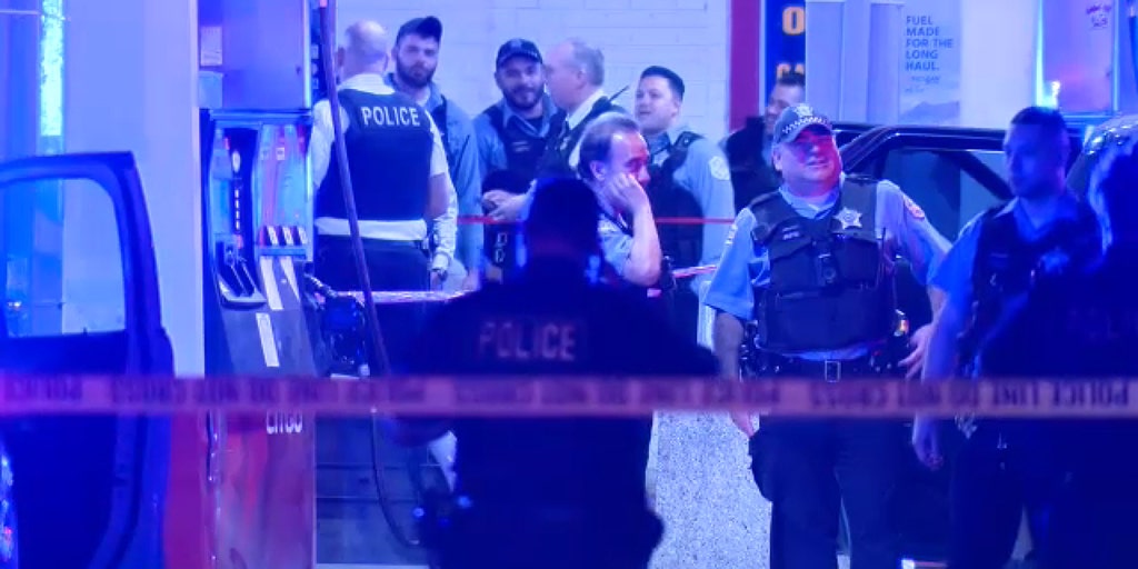 2 Chicago cops shot after officer accidentally fires gun during struggle with suspect: report - Vimarsana News