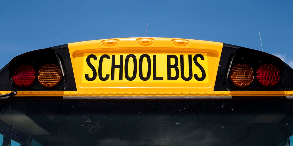 Indiana parent attacking student on school bus with a 'can in a sock' caught on video - Vimarsana News