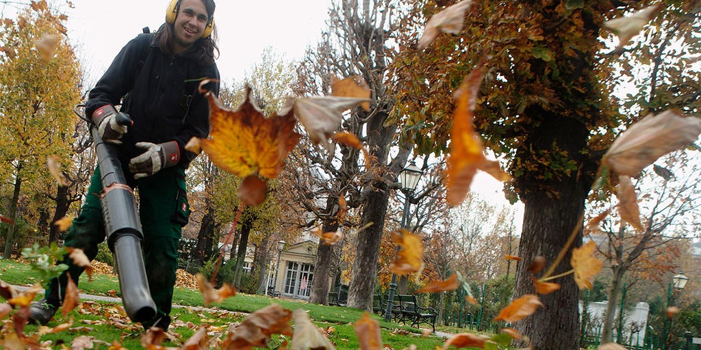 New York Times opinion writer calls leaf blowers 'death machines' - Vimarsana News