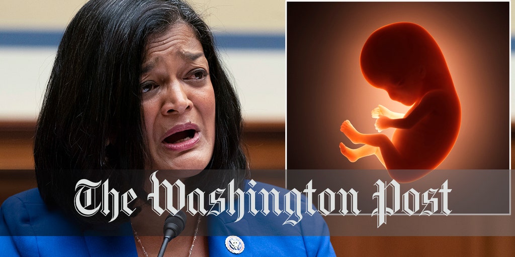 WaPo fact-checker dings Jayapal for claiming 'majority' of US supports federal funding for abortions - Vimarsana News