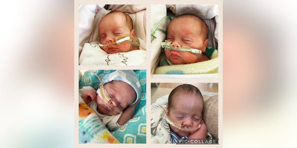 Georgia mom gives birth to rare quadruplets: 'Going to be a wild ride' - Vimarsana News