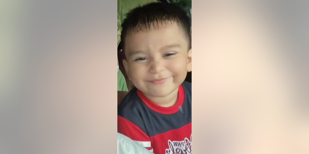 Texas toddler found alive in dense woods four days after going missing: 'Happiest of endings' - Vimarsana News