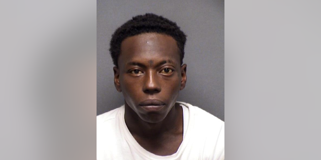 Texas man arrested for allegedly torturing a child's hamster, facing up to 25 years in prison: police - Vimarsana News
