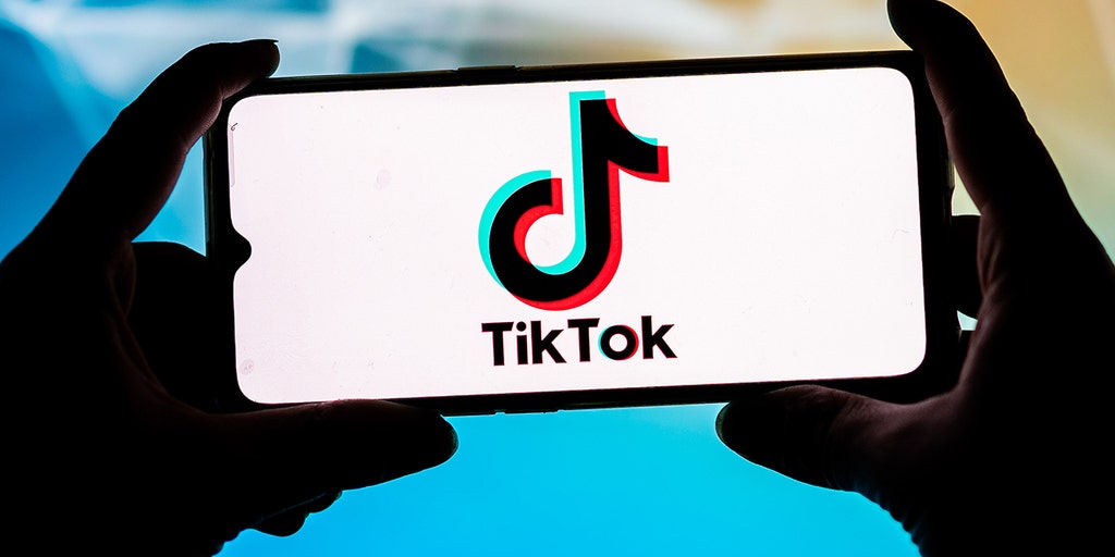 TikTok's Chinese parent company funneled six-figure donations to Black and Hispanic Caucus nonprofits - Vimarsana News