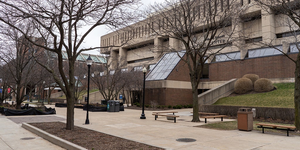 Former Chicago college student convicted of terrorism
charge, trying to help ISIS