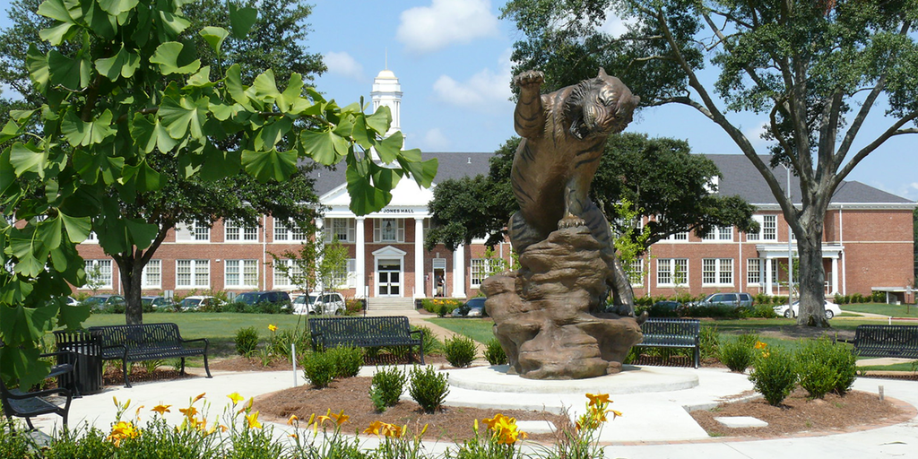 Grambling State University shooting leaves 1 dead, 7 wounded during homecoming - Vimarsana News