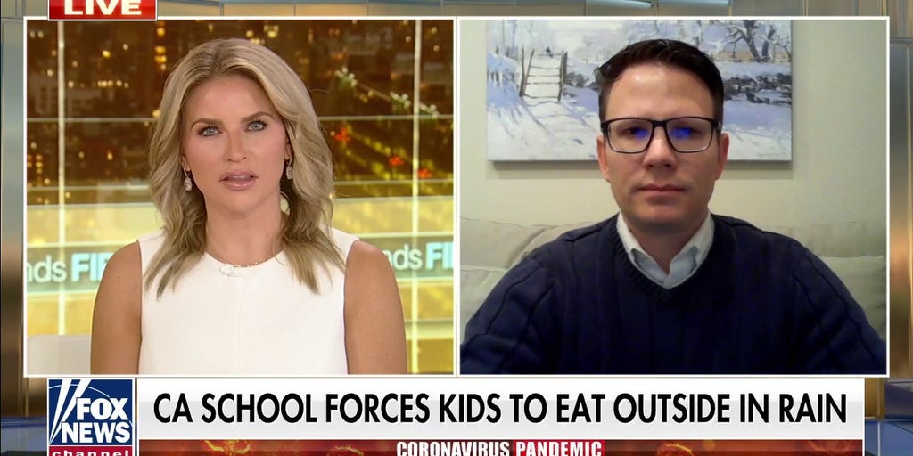 California officials blasted for 'appalling' COVID rules: 'They either don't have children or are sadists' - Vimarsana News