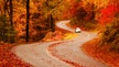 The best scenic drives for fall color in America and when to go