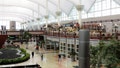 Denver International Airport interior with travellers, shops and restaurants. The teflon-coated fiberglass roof is one of the major architecture features. (Denver International Airport interior with travellers, shops and restaurants. The teflon-coated