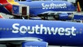 A former Southwest Airlines customer service agent, who was employed at Chicagos Midway Airport, has been charged on 12 wire fraud counts in a $1.9 million voucher-selling scheme.