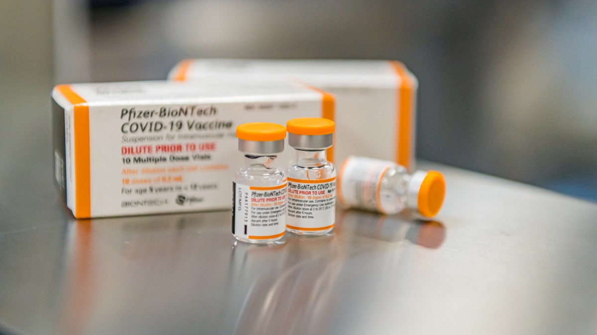 FILE PHOTO: Pfizer/BioNTech's new pediatric COVID-19 vaccine vials are seen in this undated handout photo. Pfizer/Handout via REUTERS/File Photo