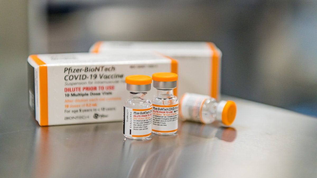 FILE PHOTO: Pfizer/BioNTech's new pediatric COVID-19 vaccine vials are seen in this undated handout photo. Pfizer/Handout via REUTERS/File Photo