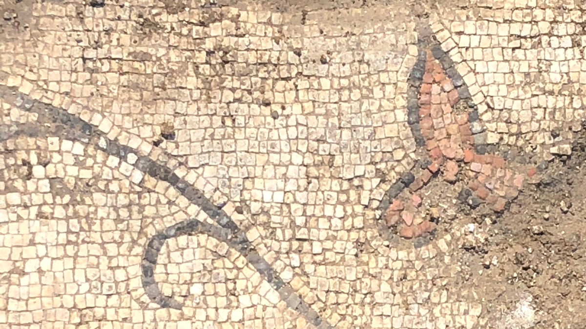 Byzantine mosaics with vine and leaf design, likely part of the reconstruction of the church floor. Photo credit: R. Steven Notley.