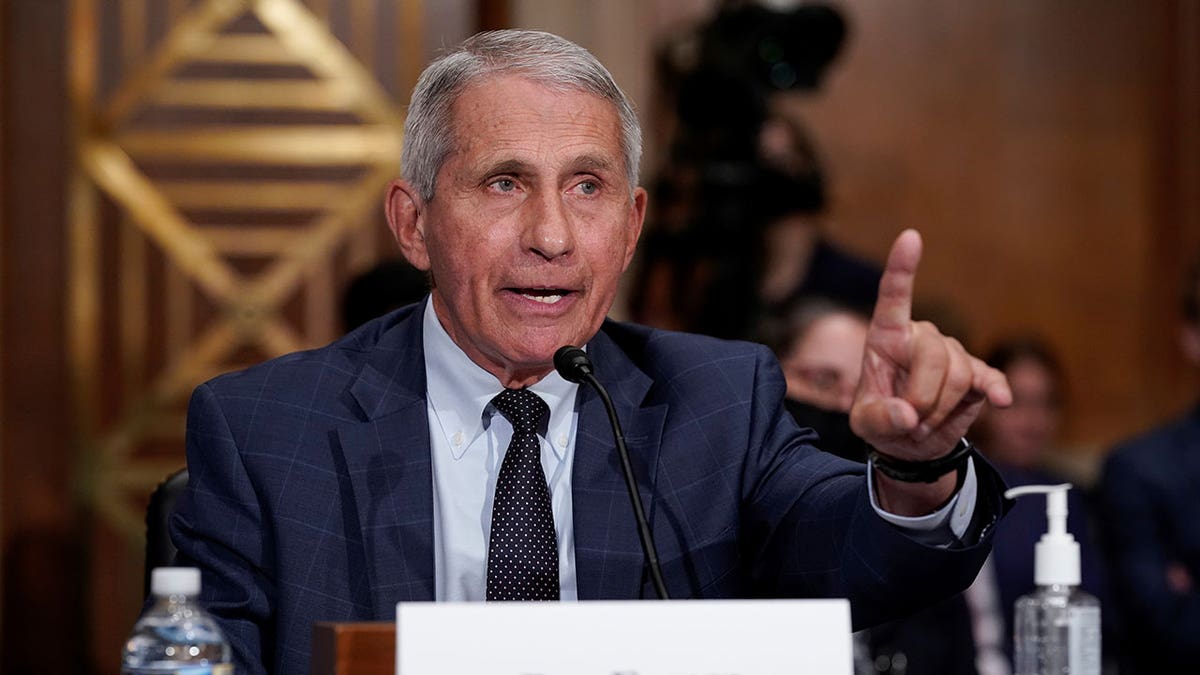 Anthony Fauci at hearing, left hand raised pointing