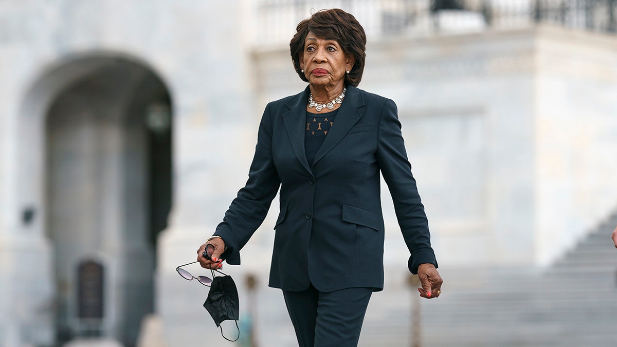 The leader of Ruth Sent Us supported Democratic Rep. Maxine Waters' 2018 call to harass Trump officials and said supporters of the former administration are "Nazis" who deserve to be "ambushed."