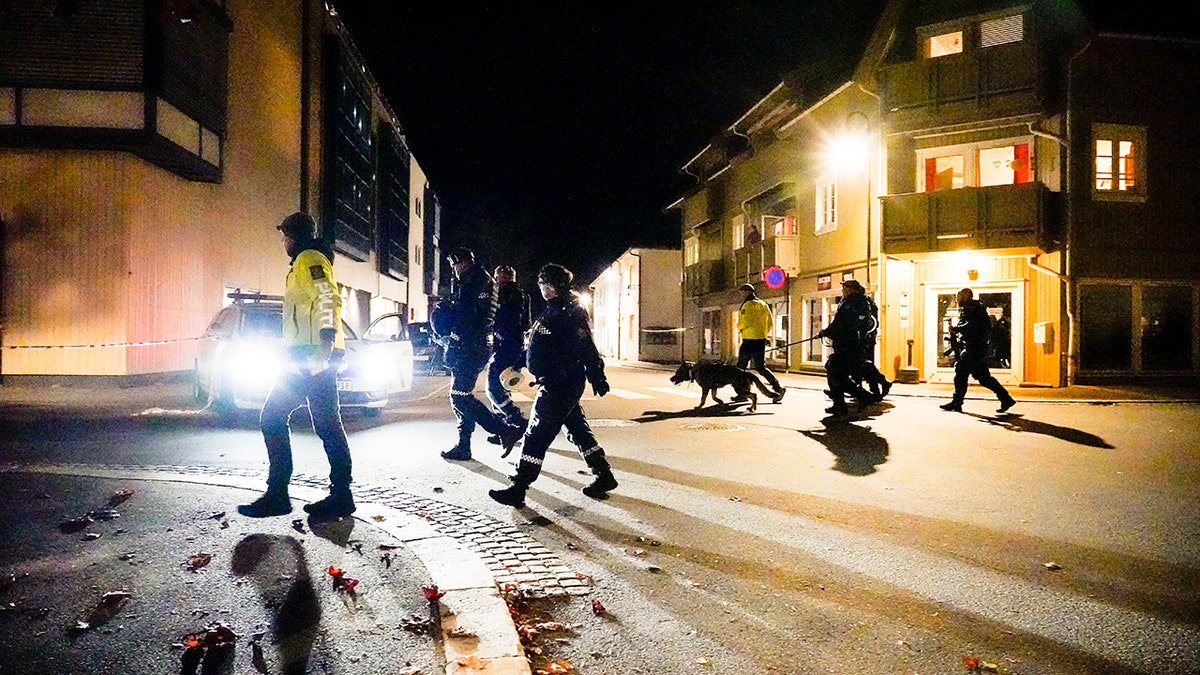 Police walk at the scene after an attack in Kongsberg, Norway, Wednesday, Oct. 13, 2021.