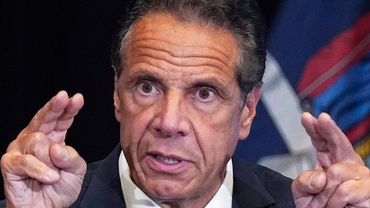 Andrew Cuomo gesturing at news conference