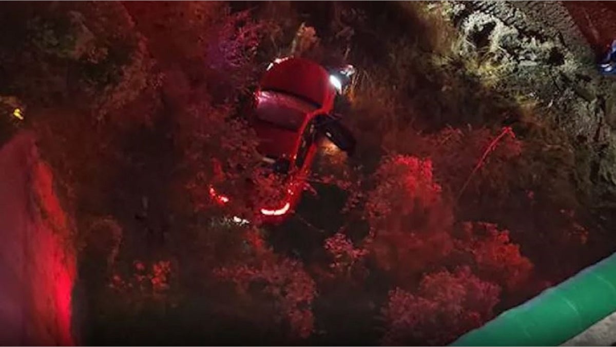 A car in Atlanta fell down an embankment.