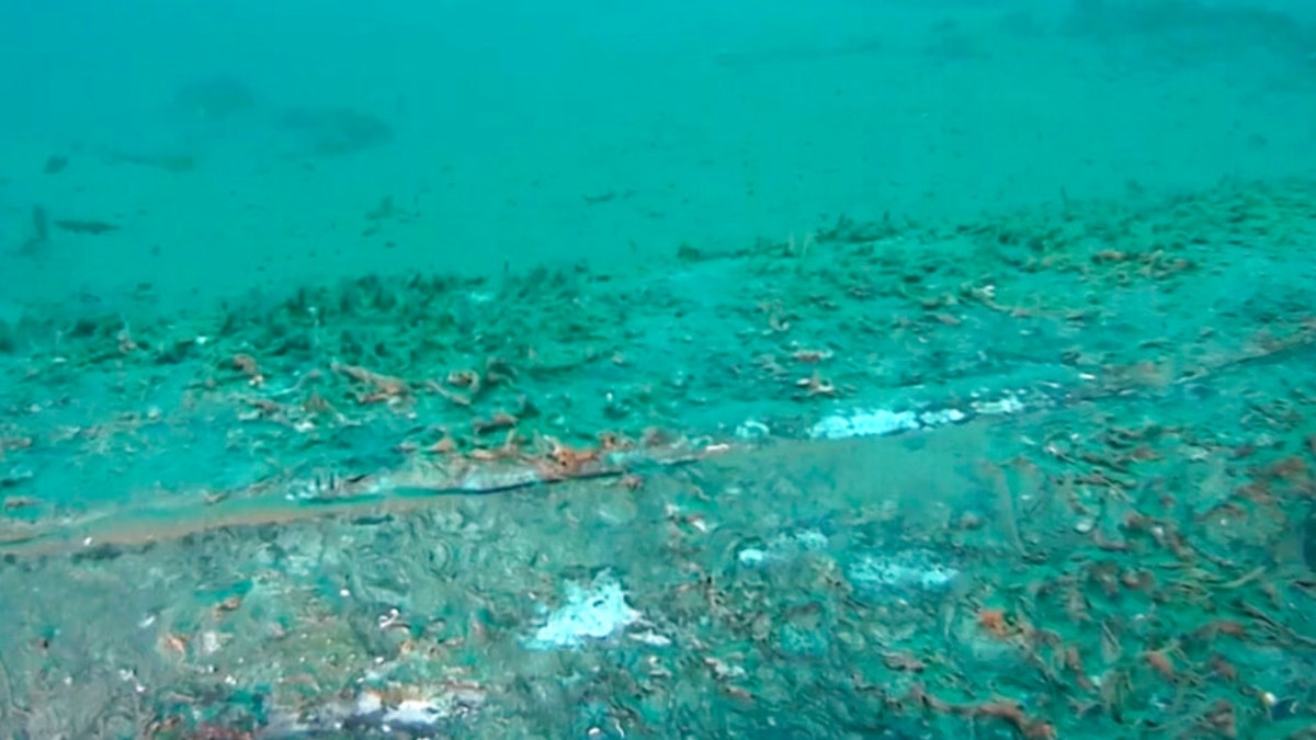 This still image provided by The U.S. Coast Guard shows the pipeline that spilled tens of thousands of gallons of oil off the coast of Orange County, Calif. filmed on Monday, Oct. 4, 2021. The image shows damage to the pipeline but no oil being released. Coast Guard investigators boarded a massive cargo ship as they probe what caused the rupture of an offshore oil pipeline that sent crude washing up on Southern California beaches. 