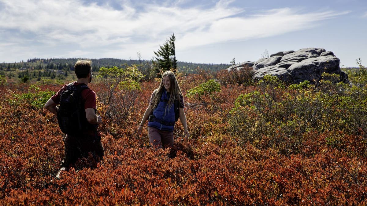 Dolly Sods Wilderness is a 17,371-acre recreation area within the Monongahela National Forest.