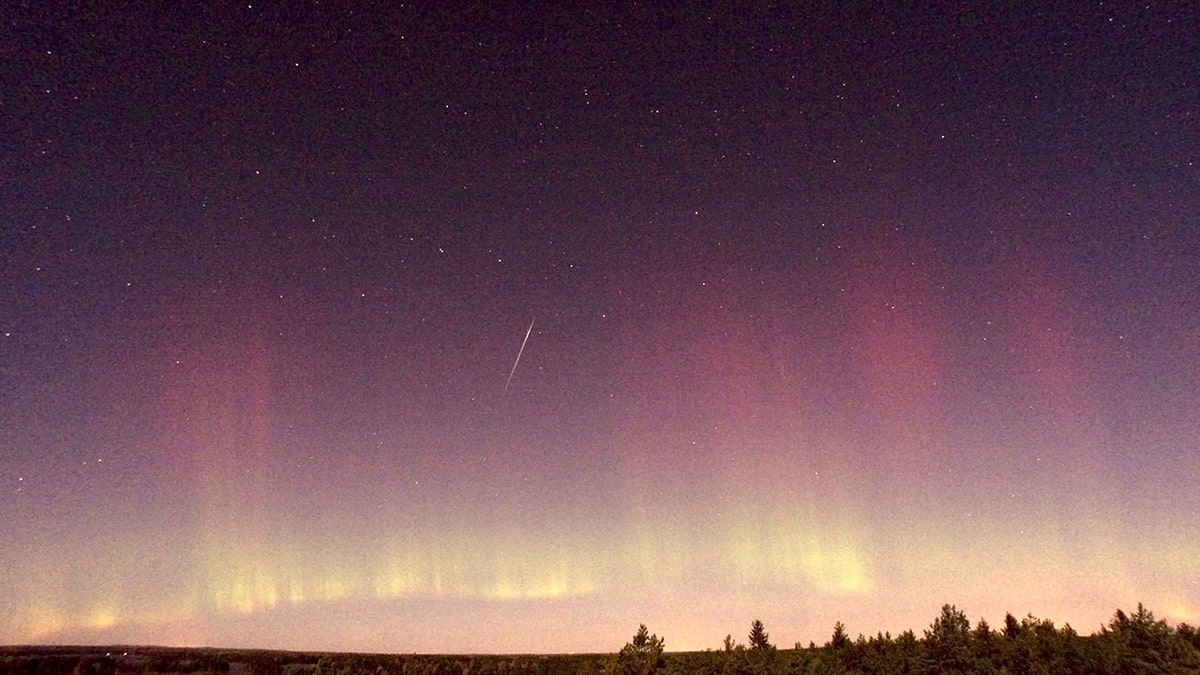 A view of a shooting star (Draconid) and northern lights near Skekarsbo at the Farnebofjardens national park, 150 km (93 miles) north of Stockholm October 8, 2011. 