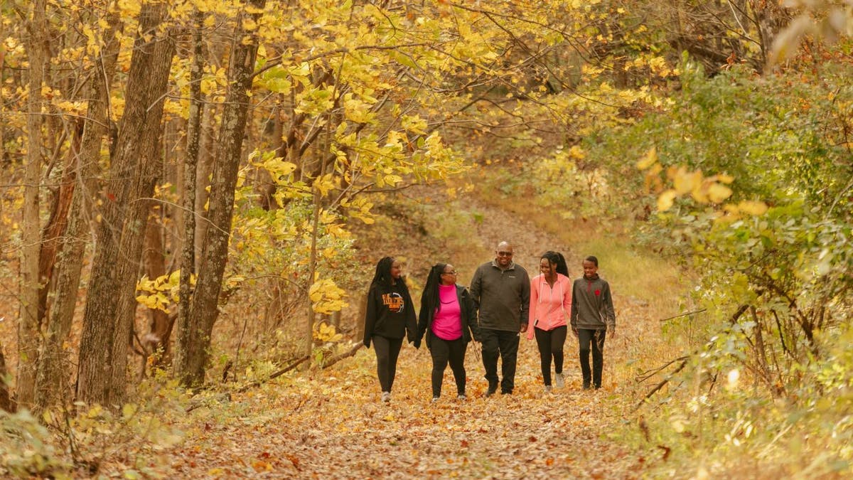 Lakeside Loop is a moderate 5.3-mile trail that circles around the 243-acre Lake Habeeb.