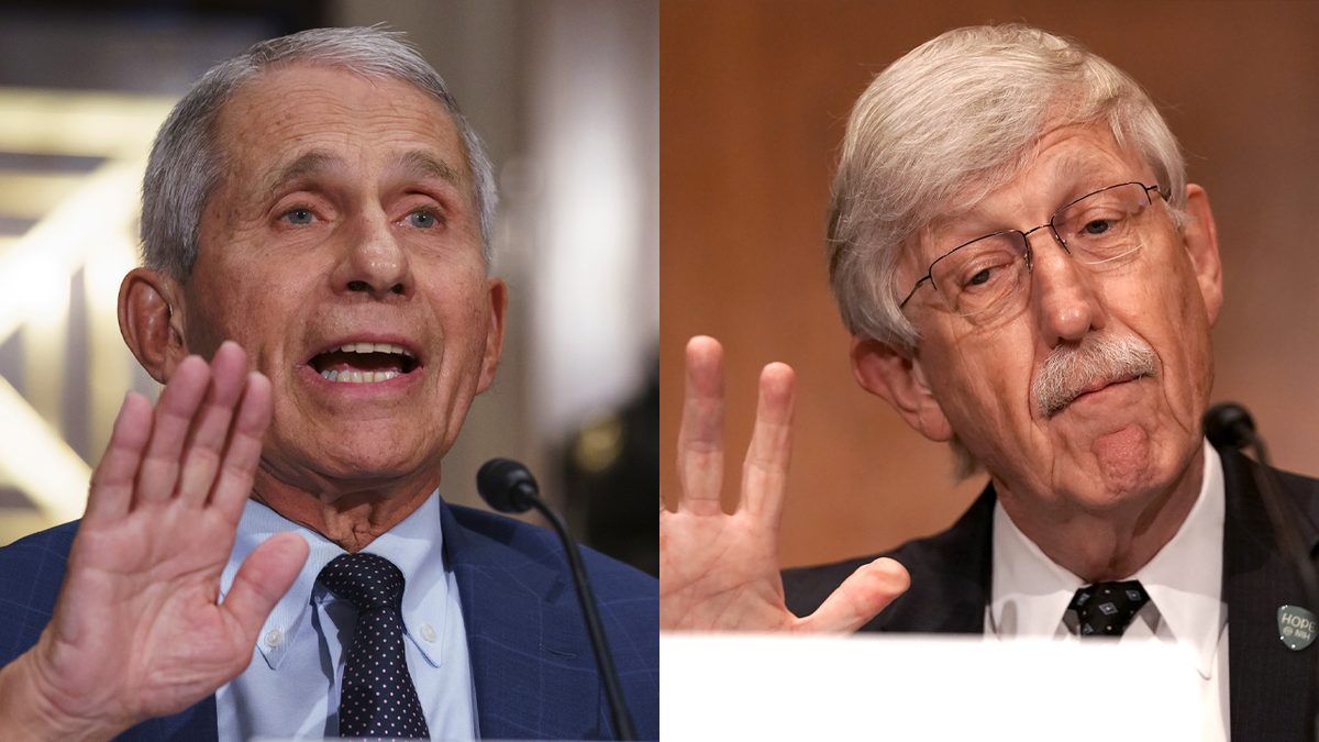 Dr. Anthony Fauci and Dr. Francis Collins, Director of the National Institutes of Health, on Capitol Hill.