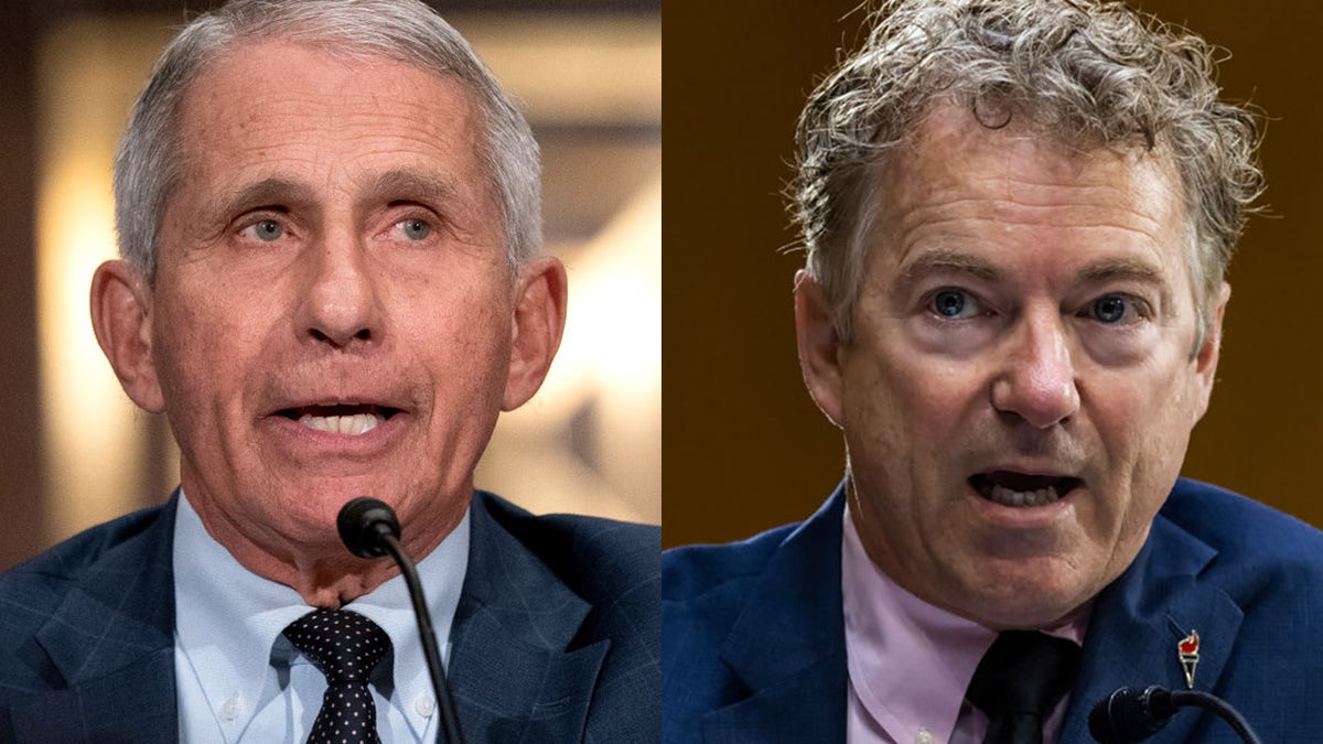 Fauci Paul split Getty