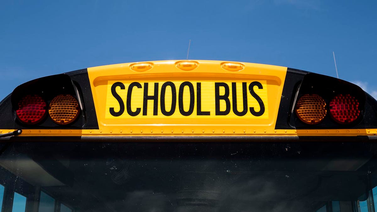 school bus photo