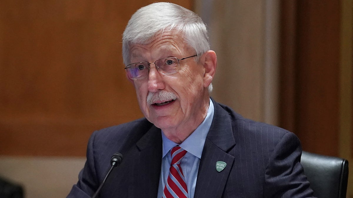 NIH Director Dr. Francis Collins testifies before a hearing looking into the budget estimates for National Institute of Health (NIH) and the state of medical research on Capitol Hill in Washington, DC on May 26, 2021.