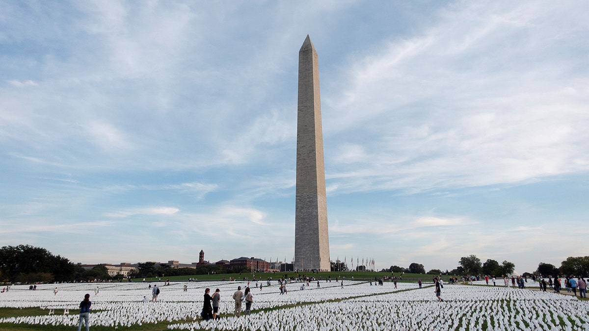 White flags honoring the lives lost to COVID-19 are seen on the National Mall in Washington, D.C., the United States, on Oct. 2, 2021.  