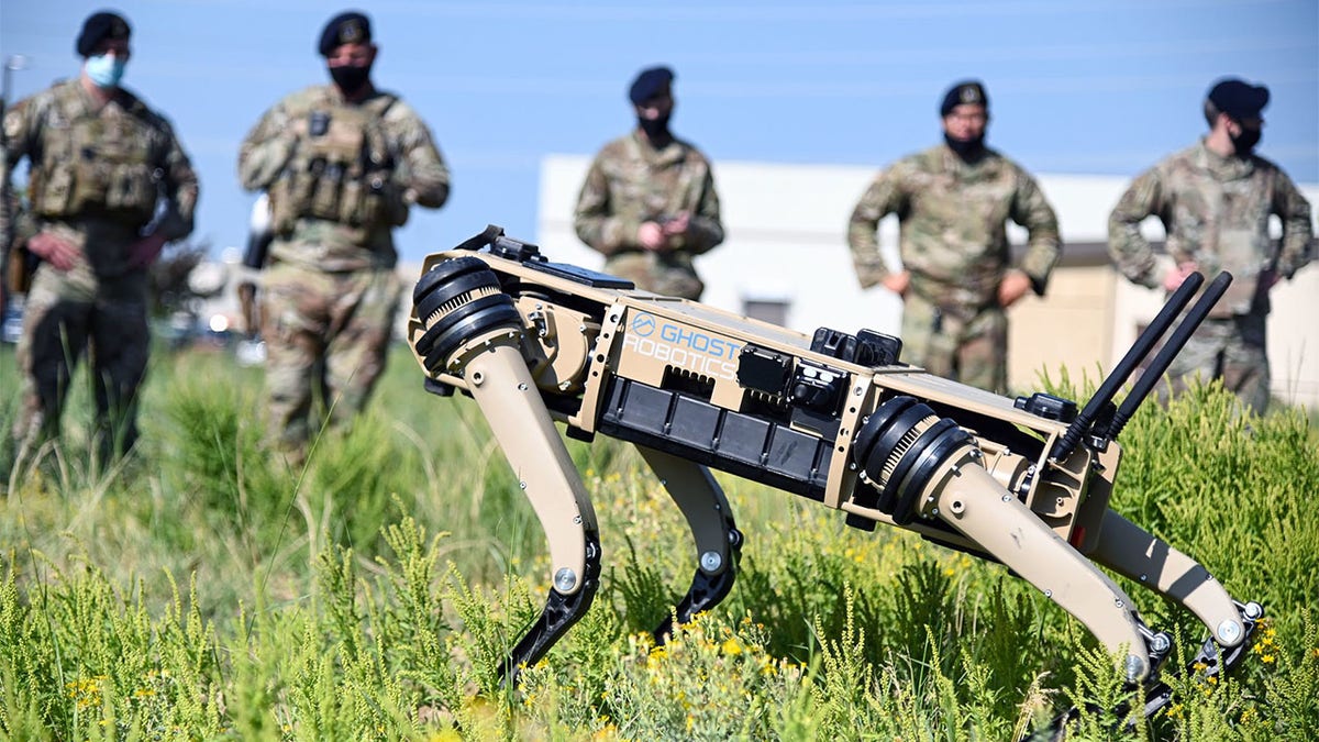 Robot dog armed with sniper rifle unveiled at US Army trade show | Fox News