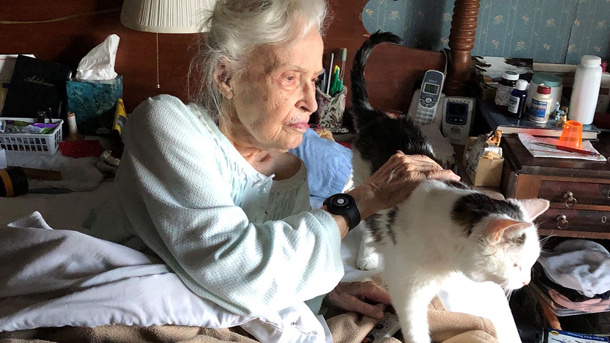 19 year old cat in store cat years