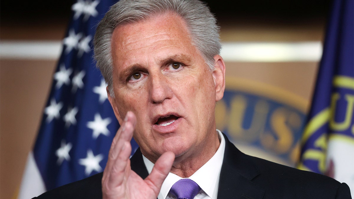 Kevin McCarthy speaks