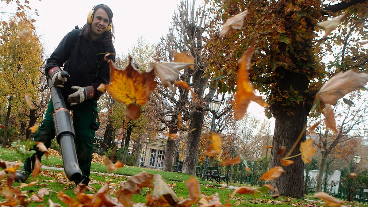 A gardener uses a leaf blower to clean a park in Vienna November 14, 2014. REUTERS/Heinz-Peter Bader (AUSTRIA - Tags: ENVIRONMENT)