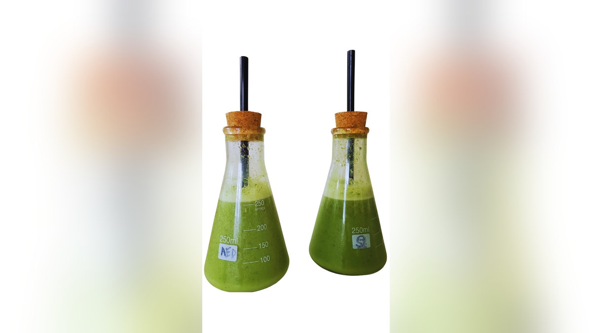 Karen Aronian shares her "green monster" Halloween smoothie recipe with Fox News.