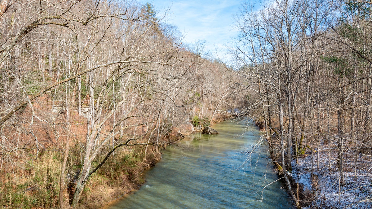 The amoeba is most commonly found in rivers, lakes and ponds. 