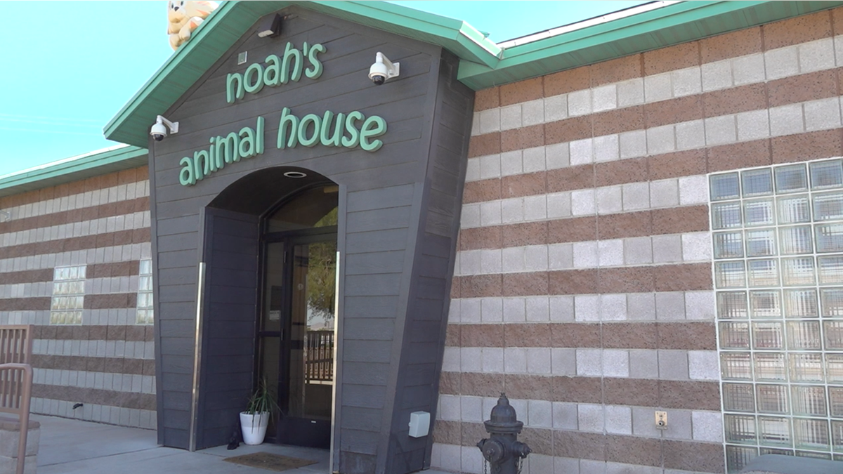 Noah's Animal House was founded in 2007 to help domestic violence survivors stay united with their pets. (Ashley Soriano/Fox News)