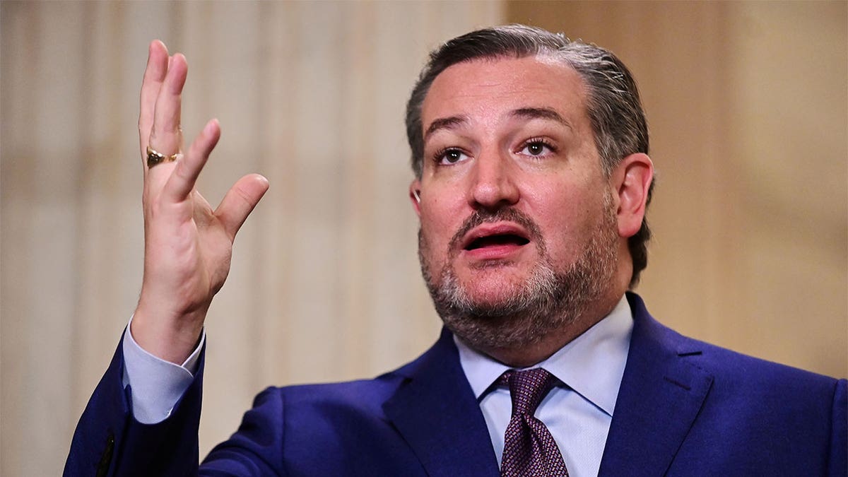 FILE PHOTO: U.S. Senator Ted Cruz (R-TX) speaks during a television interview in response to U.S. President Joe Biden's first address to a joint session of the U.S. Congress, at the U.S. Capitol in Washington, U.S., April 28, 2021. REUTERS/Erin Scott/File Photo