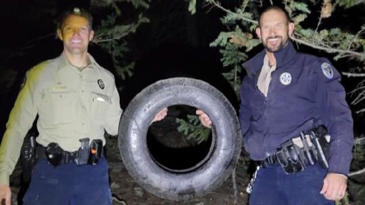 Colorado Parks and Wildlife elk tire