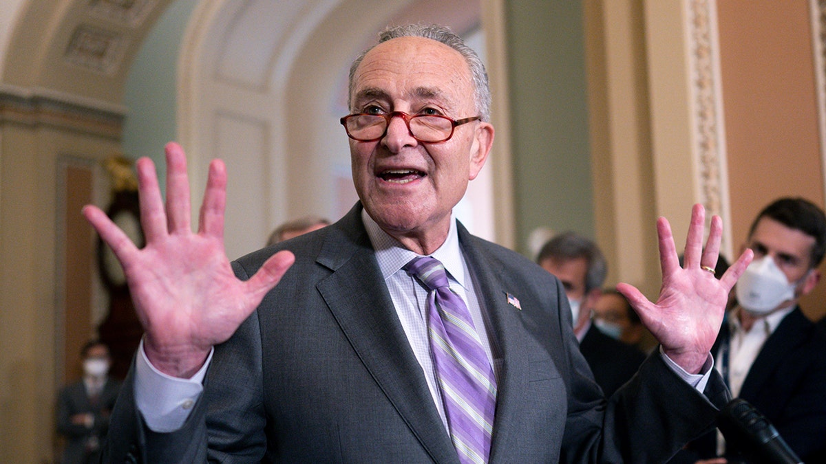 Senate Majority Leader Chuck Schumer