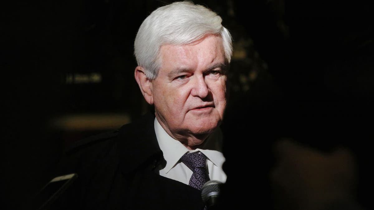 Former House of Representatives Speaker Newt Gingrich speaks to the media as he departs after a meeting with U.S. President-elect Trump at Trump Tower in New York, Nov. 21, 2016.  REUTERS/Lucas Jackson